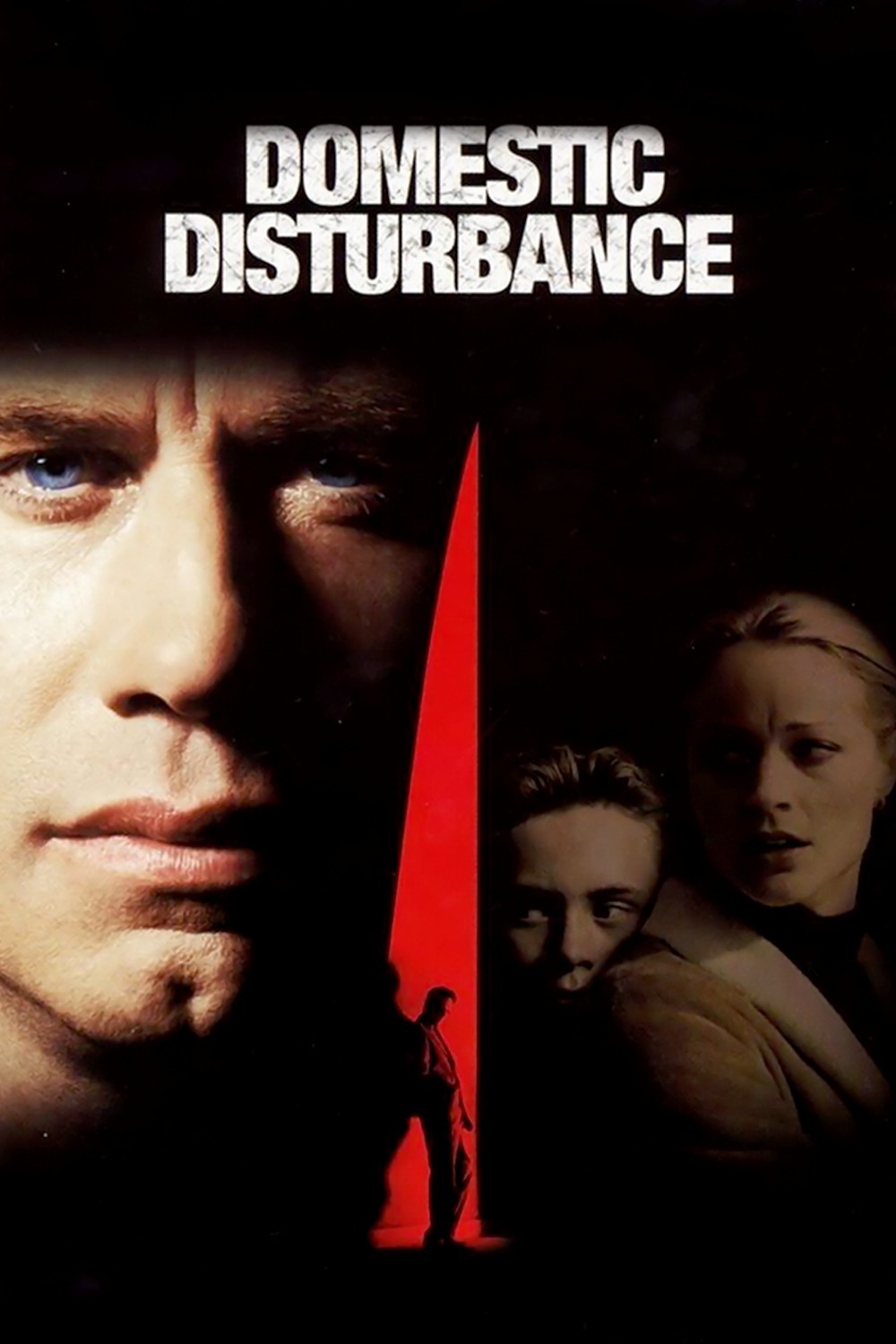 Domestic Disturbance