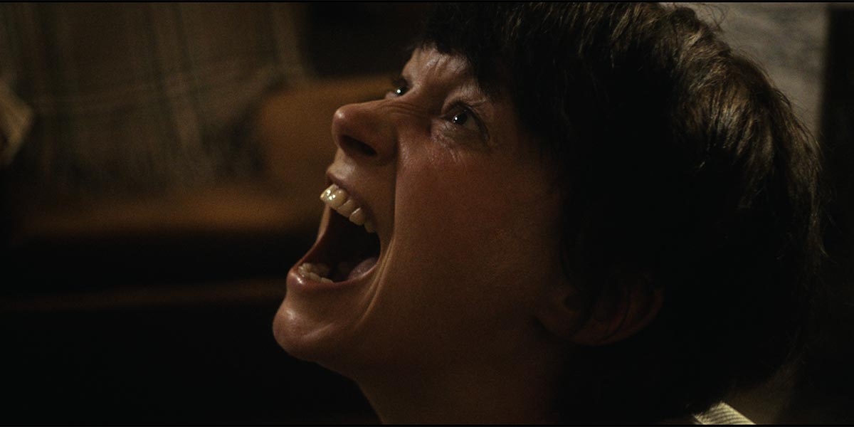 TIFF 2021: You Are Not My Mother, Zalava, DASHCAM