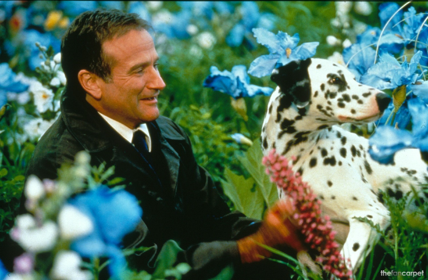 The strength of Robin Williams