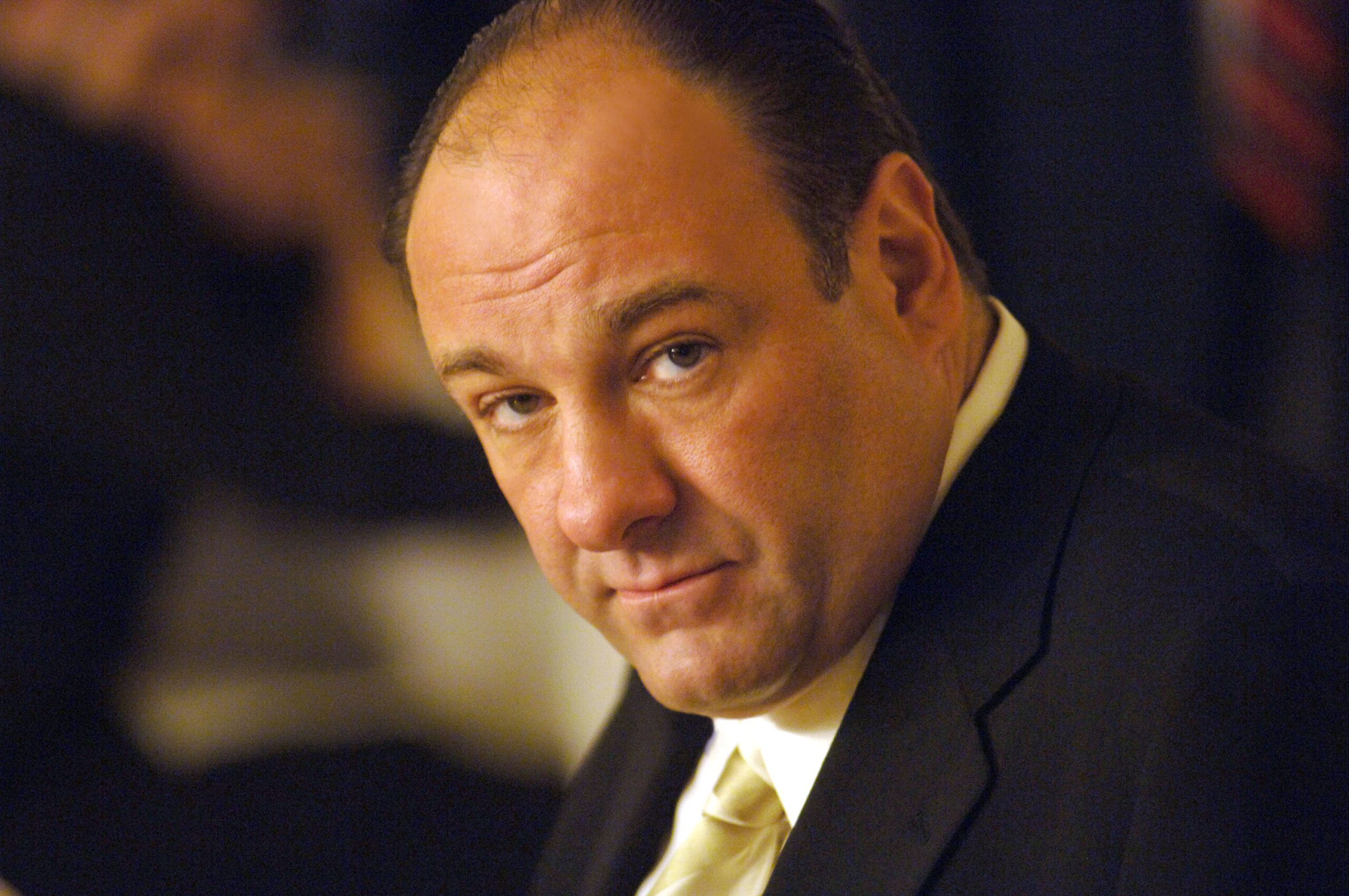 thumbnails 6/20/2013: James Gandolfini edition