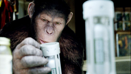 Apes and allegories: What is the meaning of this?!