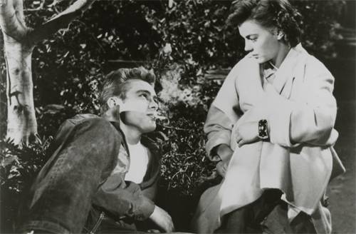 Classic flicks under the stars