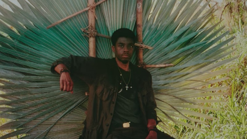 Goodbye to a King: On the Death of Chadwick Boseman