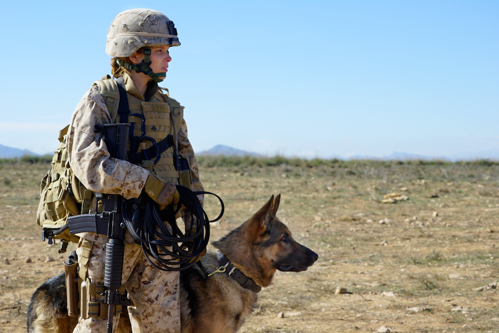We Have to Recognize Ourselves in Films: Gabriela Cowperthwaite on “Megan Leavey”