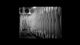 Short Films in Focus: Fleshwork (with Director Lydia Cornett)