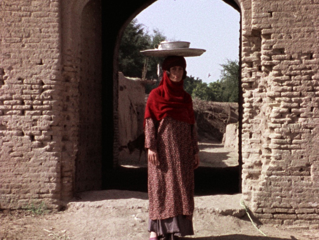 Female Filmmakers in Focus: Marva Nabili on “The Sealed Soil”