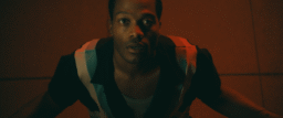 Fantasia 2025: Terrestrial, Hold the Fort, Good Boy