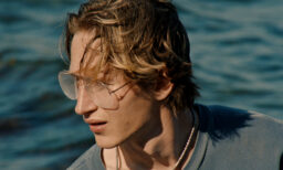 TIFF 2025: Blue Heron, Amoeba, Meadowlarks