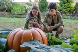 I Wanted Them to Be Weird: Director John McPhail on Mixing Genres and Encouraging Actors in “Grow”