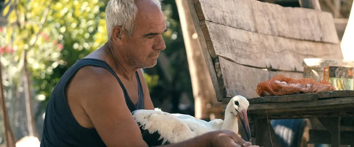 The Tale of Silyan Documentary Movie Review