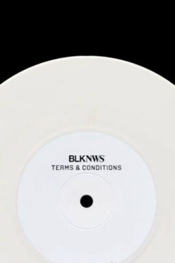 BLKNWS: Terms & Conditions