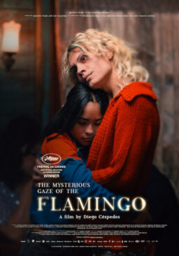 The Mysterious Gaze of the Flamingo