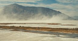 Sundance 2026: The Lake, Nuisance Bear, Seized, Public Access