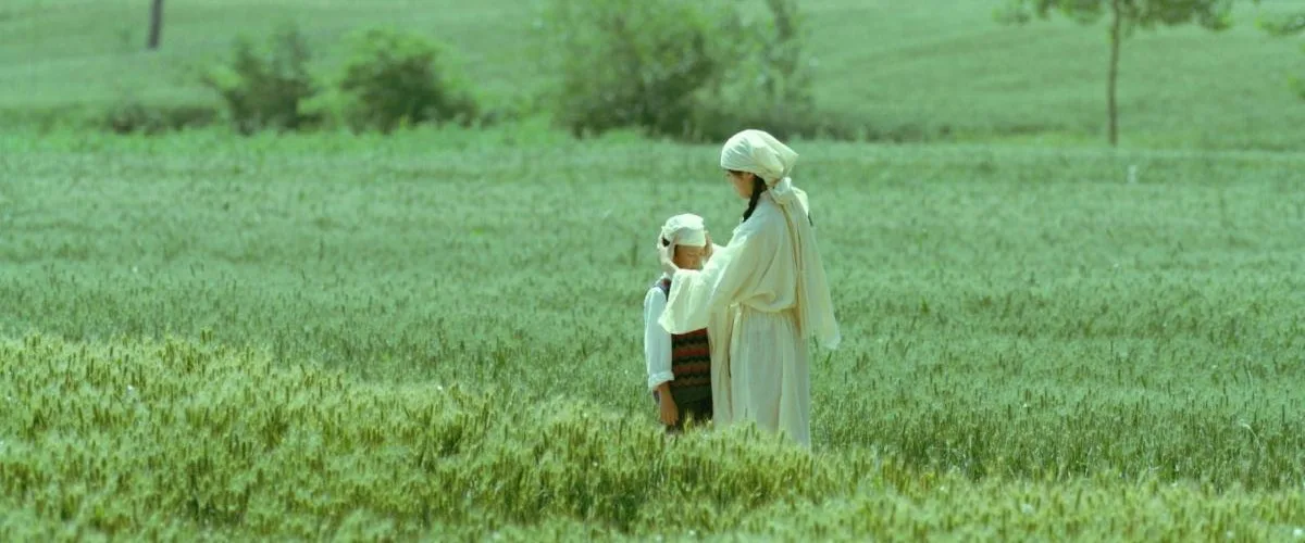 Living the Land China Movie Review