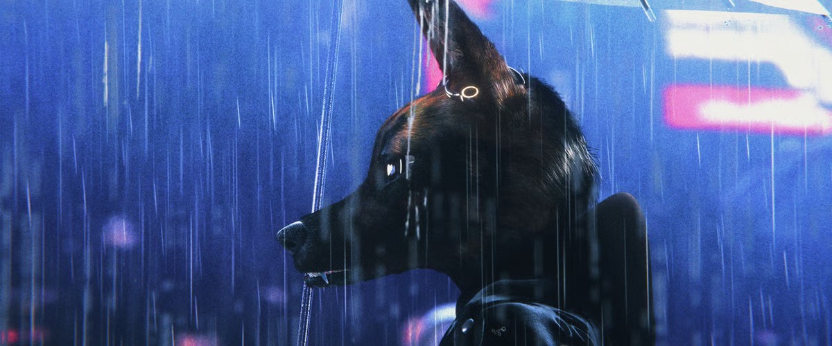 Bouchra review: A beautifully rendered slice of animated docufiction