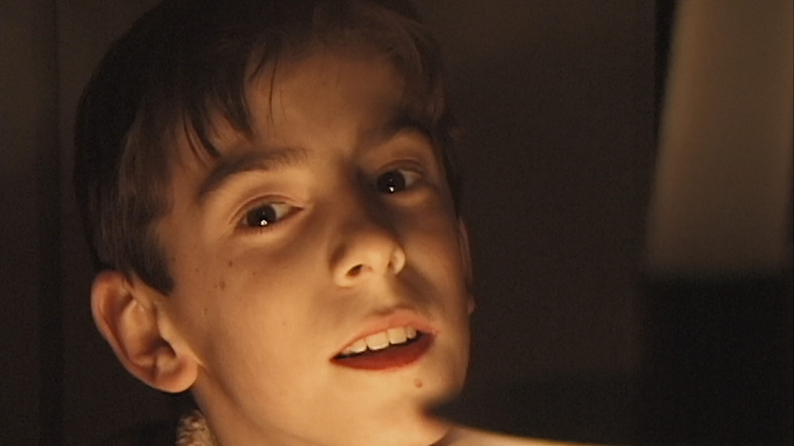 This Is Not Art, This Is Life: Ross McElwee on “Remake” and “Sherman’s March”