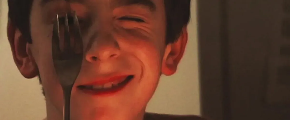 Remake Ross McElwee Documentary Film Review