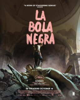 La bola negra